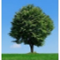 Open Spaces IT Recruitment Ltd logo - Similar company to Williams Munroe Energy