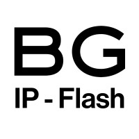 IP-Flash by BINDER GRÖSSWANG logo - Similar company to Nexgenipr Solutions