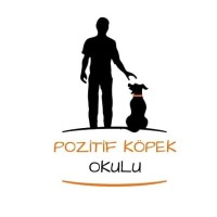 Pozitif Köpek Okulu