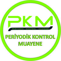 PKM PERİYODİK KONTROL VE TAHRİBATSIZ MUAYENE logo - Similar company to Pkm Group