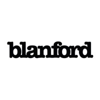 Blanford Capital logo - Similar company to Mosh Group