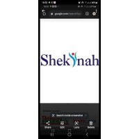 Shekinah Specialties Limited logo - Similar company to Unizik Blockchain Lab