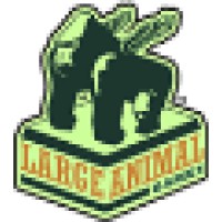 Large Animal Games