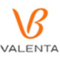 Valenta Pharmaceuticals logo - Similar company to Protek-Svm