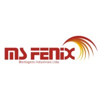 MS Fenix logo - Similar company to Silver Solutions