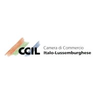 Camera di Commercio Italo-Lussemburghese logo - Similar company to Train4Esg