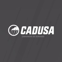 CADUSA INTERNATIONAL logo - Similar company to Cajasa International