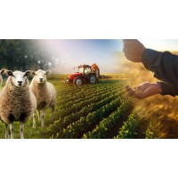 EAST AFRICAN MILEAGE FARMS (EAMF) logo - Similar company to Pbr International