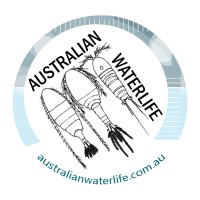 Australian Waterlife