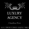 Luxury Agency logo - Similar company to Xl Driving