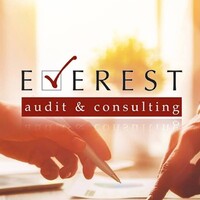 Everest Audit and Consulting logo - Similar company to Audit Map Internationale