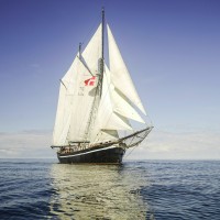 Hawila - Cargo, Education and Culture by sail logo - Similar company to Tryp Labs