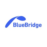 Blue Bridge logo - Similar company to Blubridge