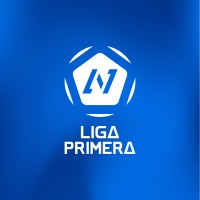 Liga Primera Nicaragua logo - Similar company to Real Estelí