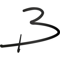 BORNIER logo - Similar company to Ndonge