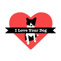 I Love Your Dog