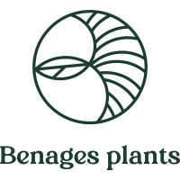 Benages Plants - Mediterranean Trees & Palms logo - Similar company to Virgin Flower