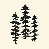 Tall Timbers Holding Co. logo - Similar company to Distify Technologies Co. Llc.