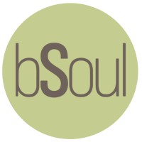 bSoul ® logo - Similar company to Altera