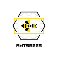AntsBees - AI Training and Solutions Integrator logo - Similar company to Ai+ Training