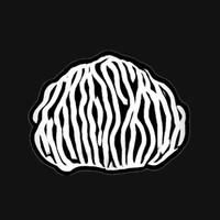 Omertà Vae logo - Similar company to Code4Her Future