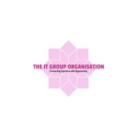 The IT Group Organisation logo - Similar company to Vidfinity