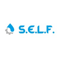 SELF (SAINT-ETIENNE LUMIERE ET FORCE) logo - Similar company to Saint-Étienne, Secteur De Bruno Senechal