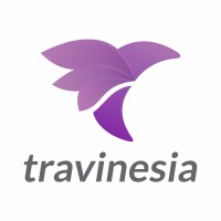 Travinesia logo - Similar company to Kinesis Money