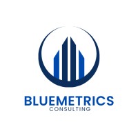 BlueMetrics Consulting logo - Similar company to Bluemetrics Consulting