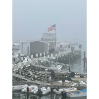 Ocean Marketing, Inc. logo - Similar company to Instaphysique