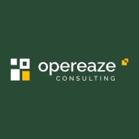 Opereaze Consulting logo - Similar company to Soft Masters