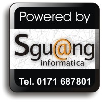 Sguang informatica srl logo - Similar company to Giemme Informatica Srl