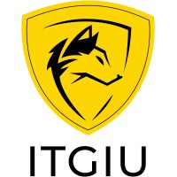 ITGIU Group logo - Similar company to Mesari Trading