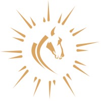 Stable Rise logo - Similar company to Knighton Bond