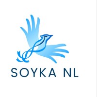 Soyka NL logo - Similar company to Civic Tech Lab