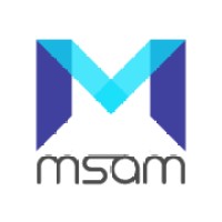 Msam Limited logo - Similar company to Red Circle Technology Recruiting