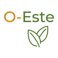 Oeste Solutions logo - Similar company to Devlon