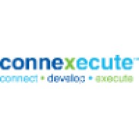 Connexecute | Connect The Dots - Develop The Plan - Execute The Action