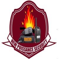 New Puissant Security logo - Similar company to Smart Cloudservices