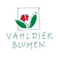 Vahldiek AG logo - Similar company to Master Entrepreneurship