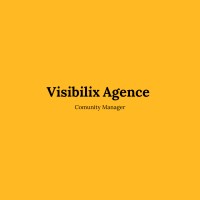 Visibilix logo - Similar company to 404Com
