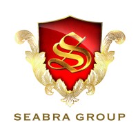 Seabra Group logo - Similar company to Opt Ai Max