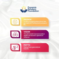 Dunamis Scholars Foundation logo - Similar company to Stembots Technologies