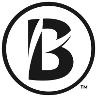 Boston Business Women logo - Similar company to Boston Women'S Workforce Council