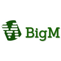 BigM, Inc. logo - Similar company to Casey