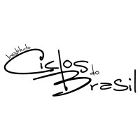 Instituto Ciclos do Brasil logo - Similar company to Fundación Polímata