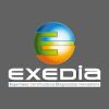EXEDIA CONTROLES logo - Similar company to Exedia Diagnostics