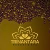 Trinantara Resort & Spa logo - Similar company to Vyapar Kranti