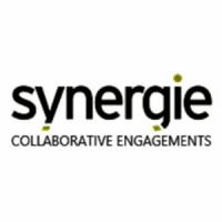 Synergie Group Pte. Ltd. logo - Similar company to Managemyskill