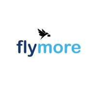 Flymore Consultancy Services logo - Similar company to American Union
